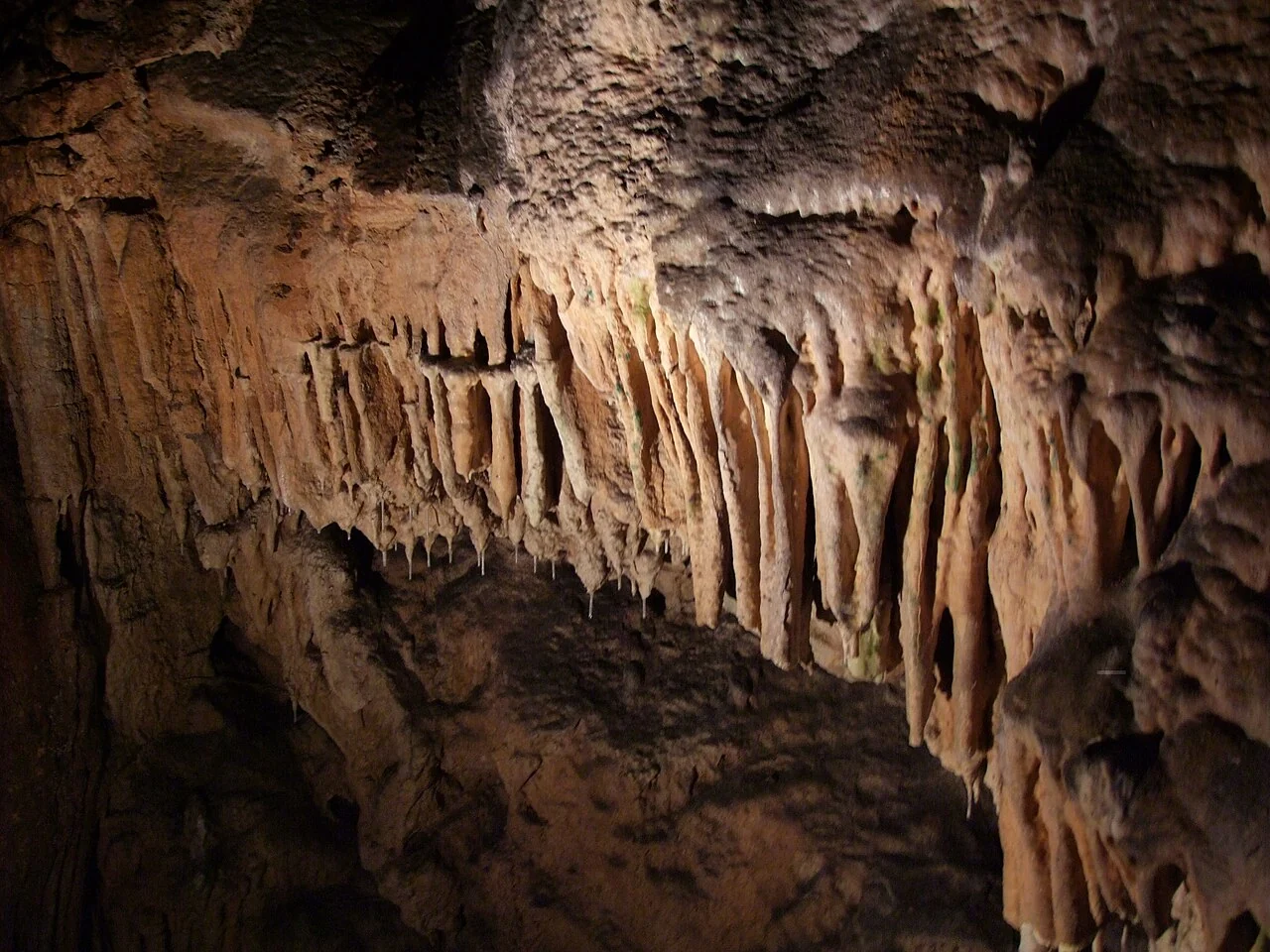 Stalactites et stalagmites dans la grotte Biserujka